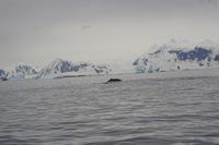 
DSC00076